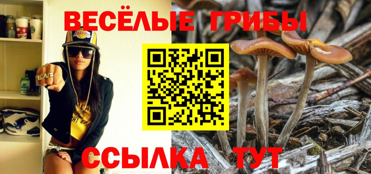 Псилоцибиновые грибы Magic Shrooms Ковров