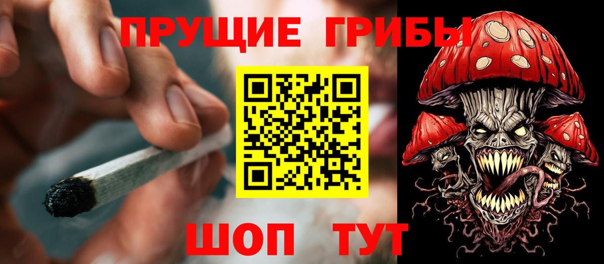 Ковров  Псилоцибиновые грибы прущие грибы  Вход с VPN 